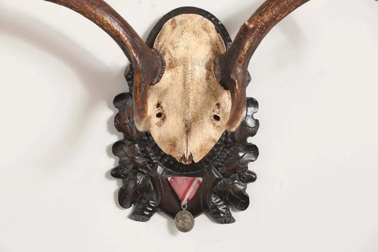 19th Century Habsburg Fallow Deer Trophy on Black Forest with Veteran's Medal