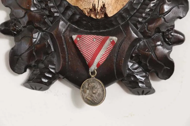 19th Century Habsburg Fallow Deer Trophy on Black Forest with Veteran's Medal