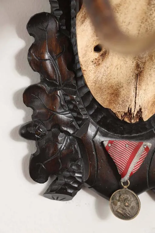 19th Century Habsburg Fallow Deer Trophy on Black Forest with Veteran's Medal