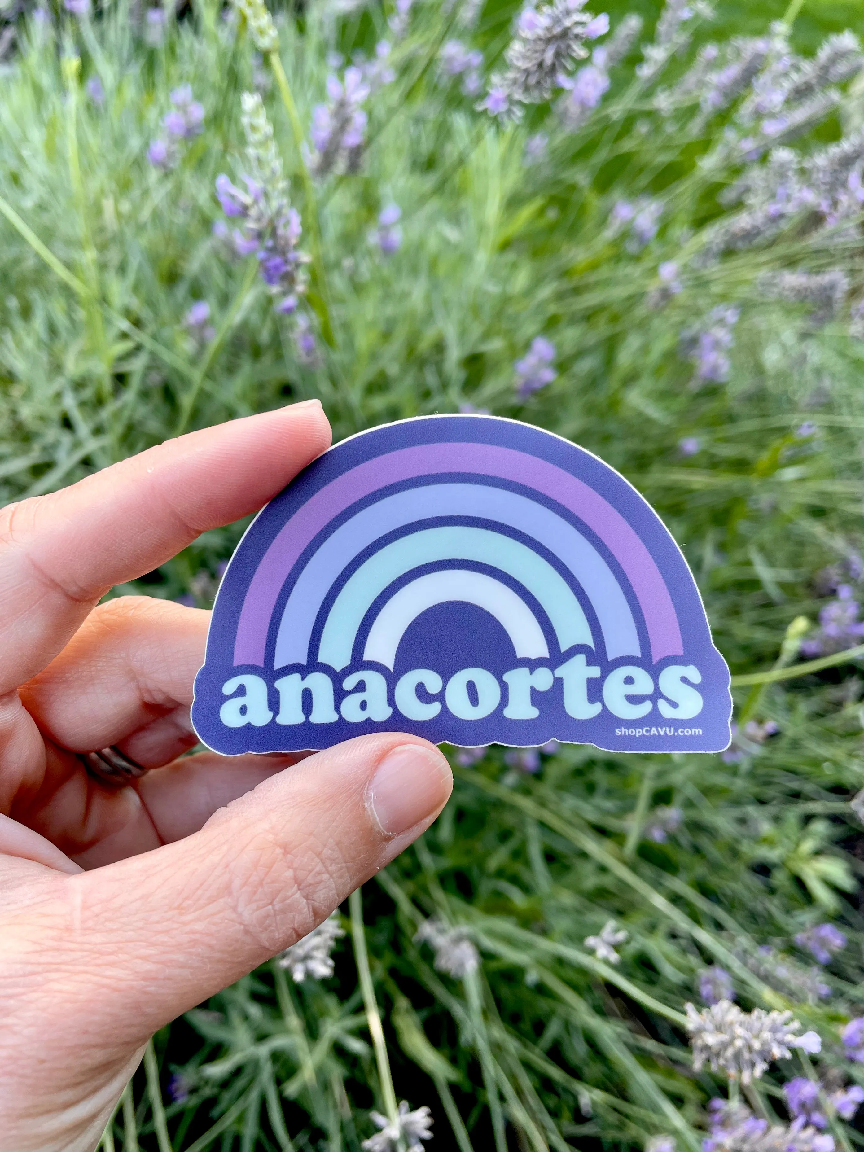 Anacortes Rainbow 3” Sticker / Decal