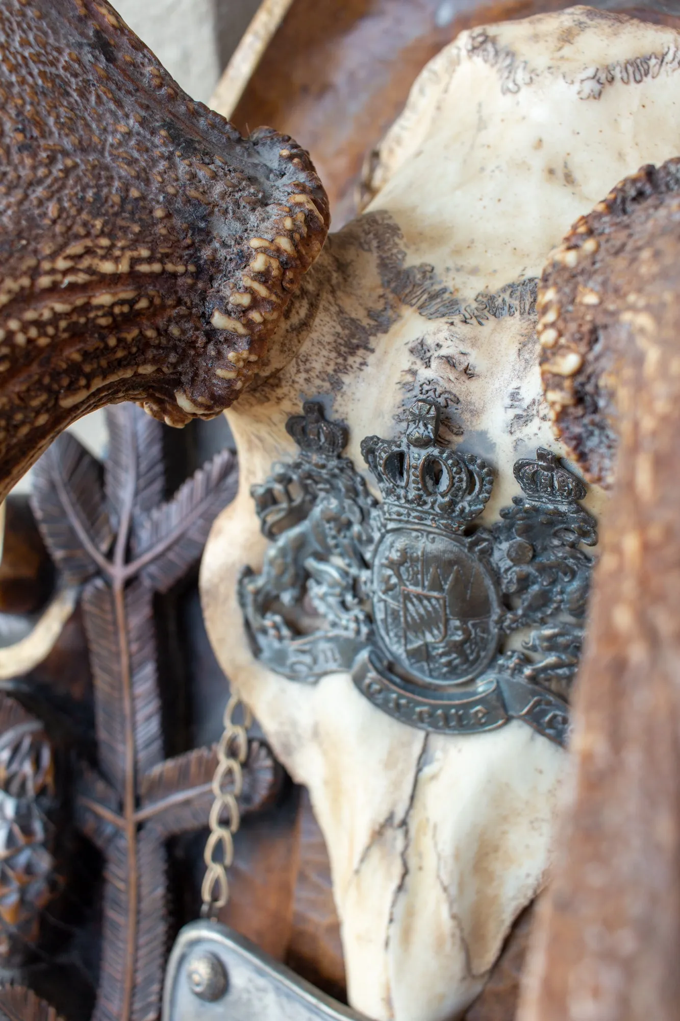 Antique Habsburg Red Stag Trophy on Hand Carved Black Forest Plaque with Gorget