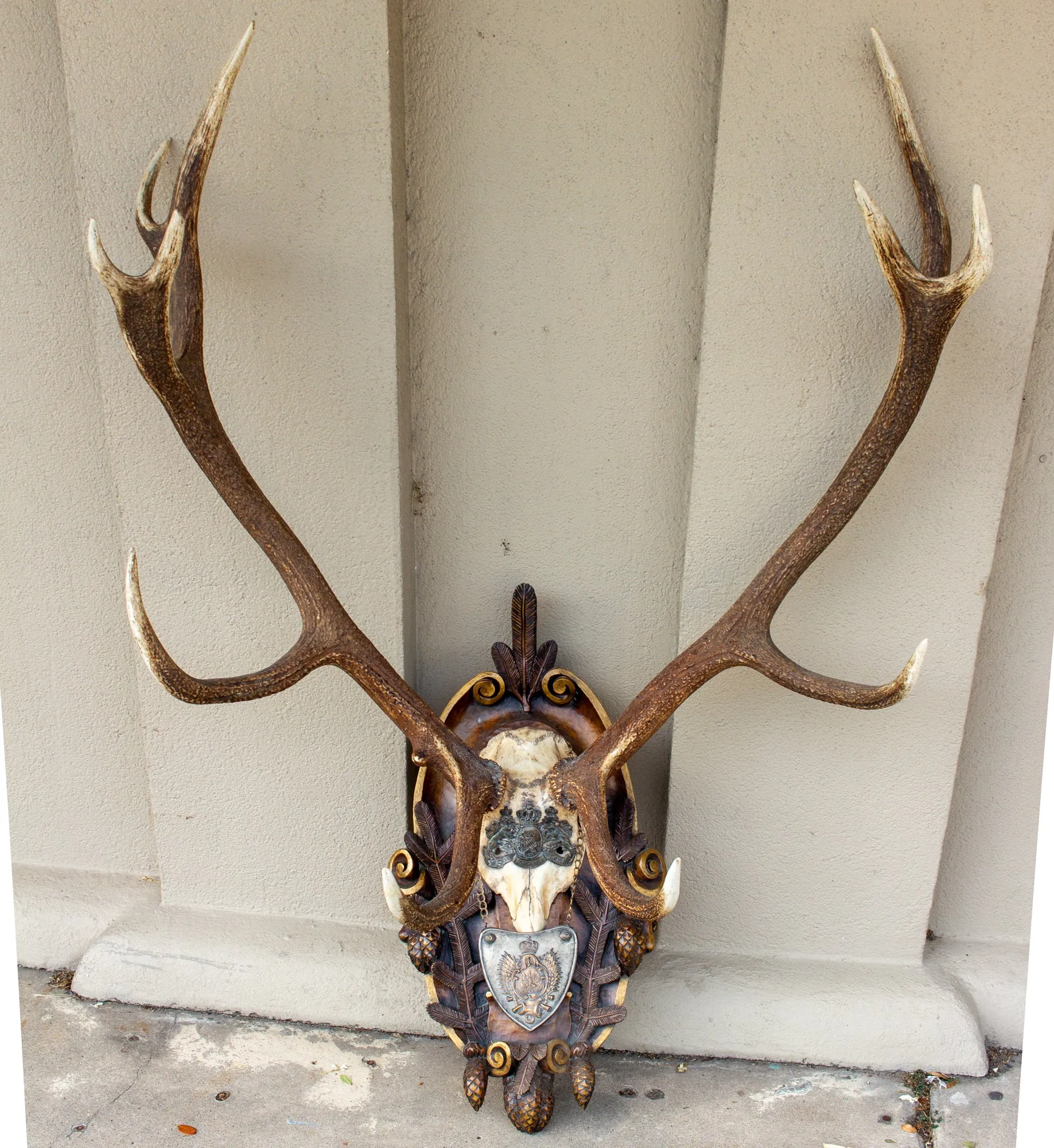 Antique Habsburg Red Stag Trophy on Hand Carved Black Forest Plaque with Gorget