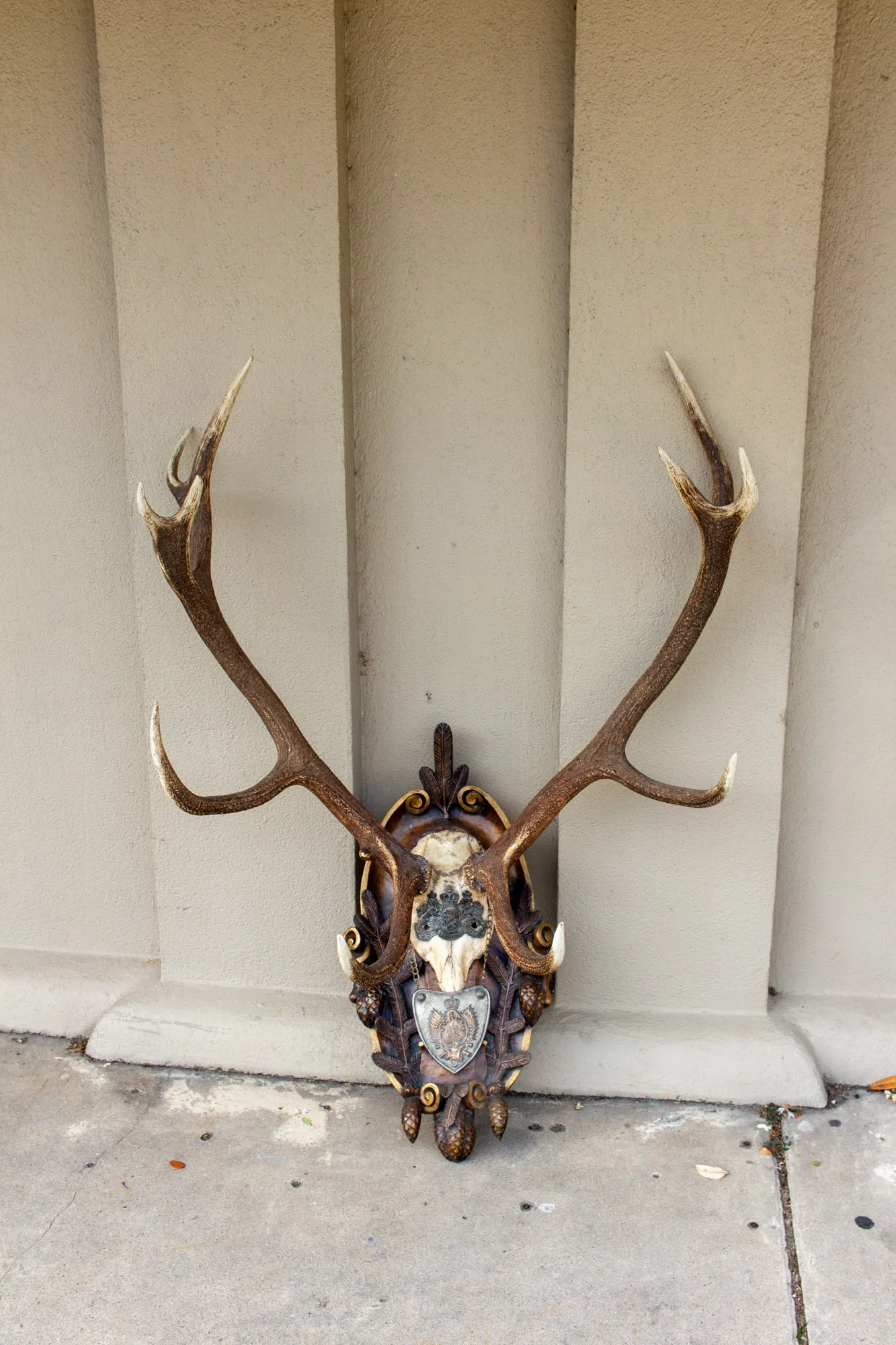 Antique Habsburg Red Stag Trophy on Hand Carved Black Forest Plaque with Gorget