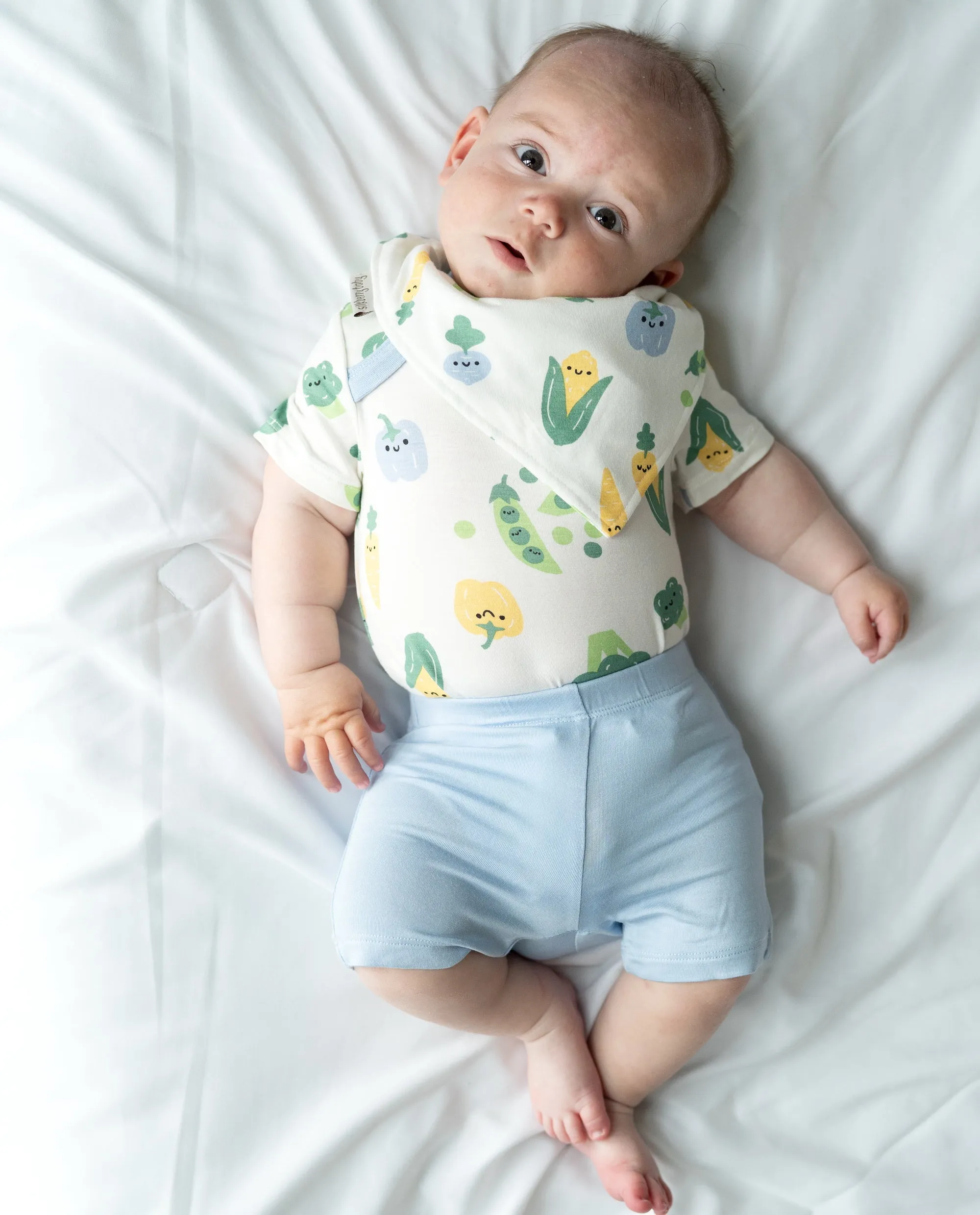 Bamboo Bandana Bib (Farmers Market Print)