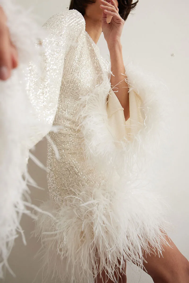 BK0166 Sequins Feather Mini Dress