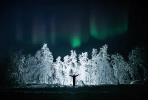 Boreal Symphony