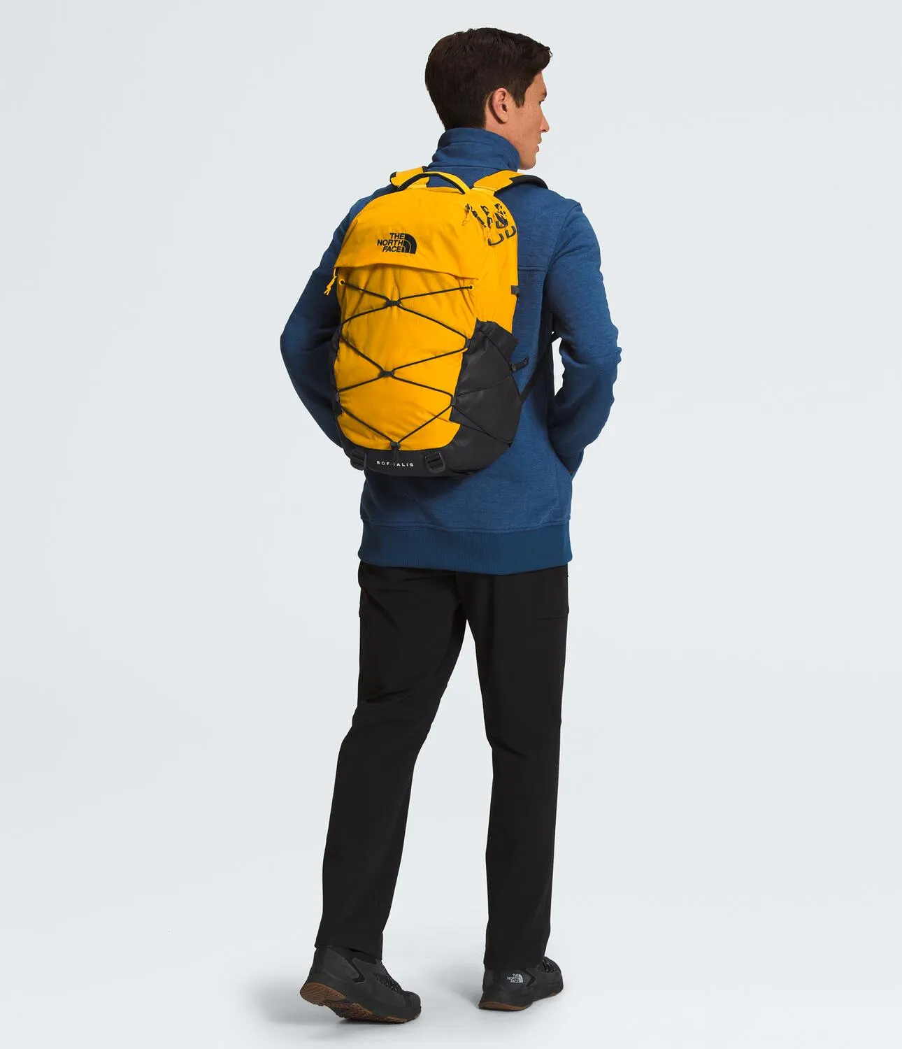 Borealis Backpack - NF0A52SE