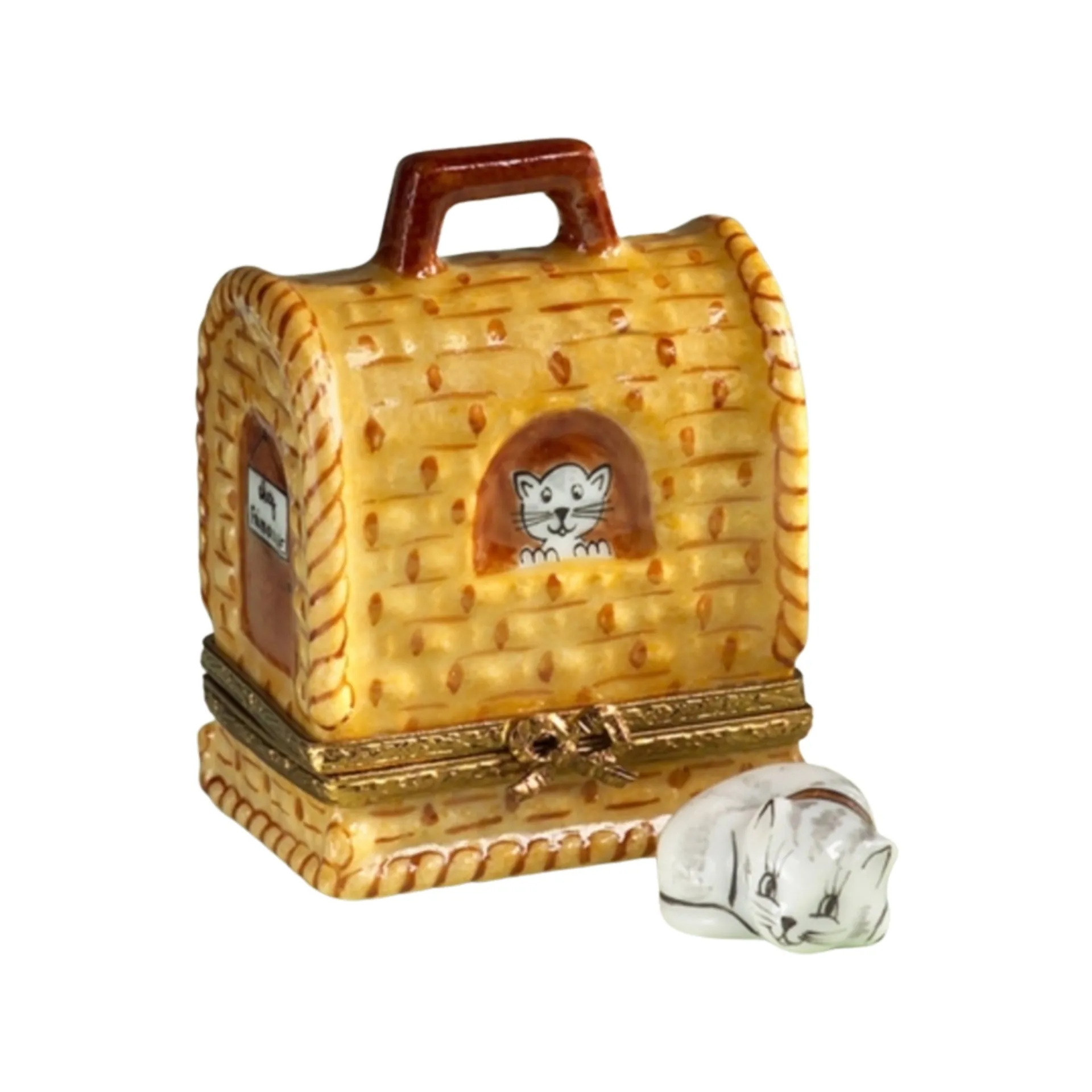 Cat Carrier w Removable Cat