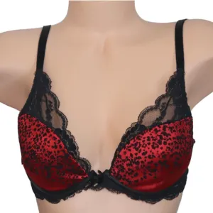 Chantelle Satine Bra 34C Style 2062