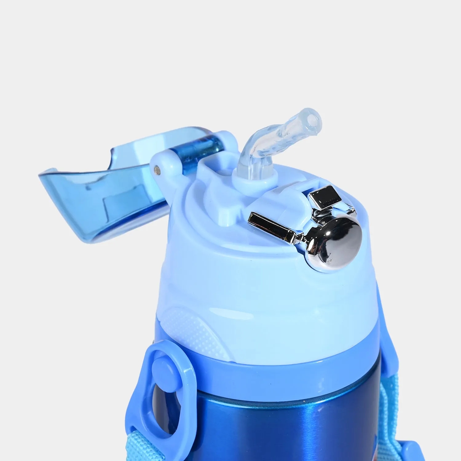 Character Stainless Steel Water Bottle For Kids