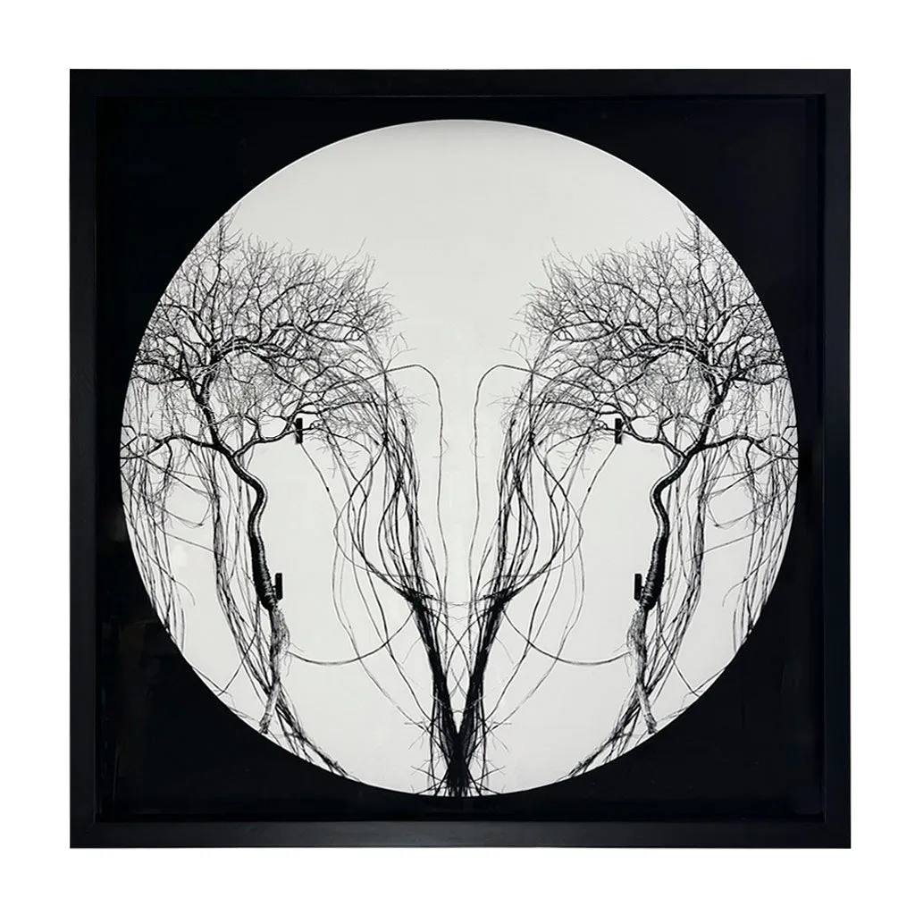 Circle Tree - Recorded CMXC111 (Black)