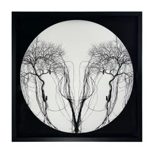 Circle Tree - Recorded CMXC111 (Black)
