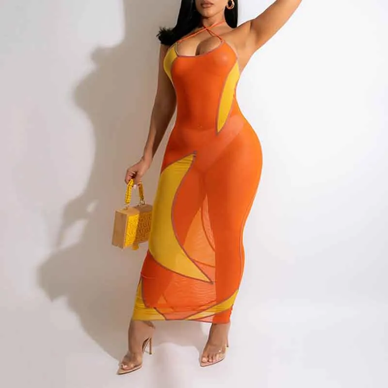 Colorblock Halter Sleeveless Sheer Mesh Maxi Dress