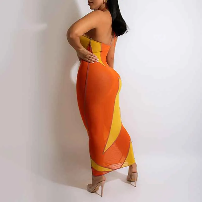 Colorblock Halter Sleeveless Sheer Mesh Maxi Dress