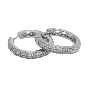 Cubic Zirconia Silver Plated Huggie Hoop Stainless Steel Earrings