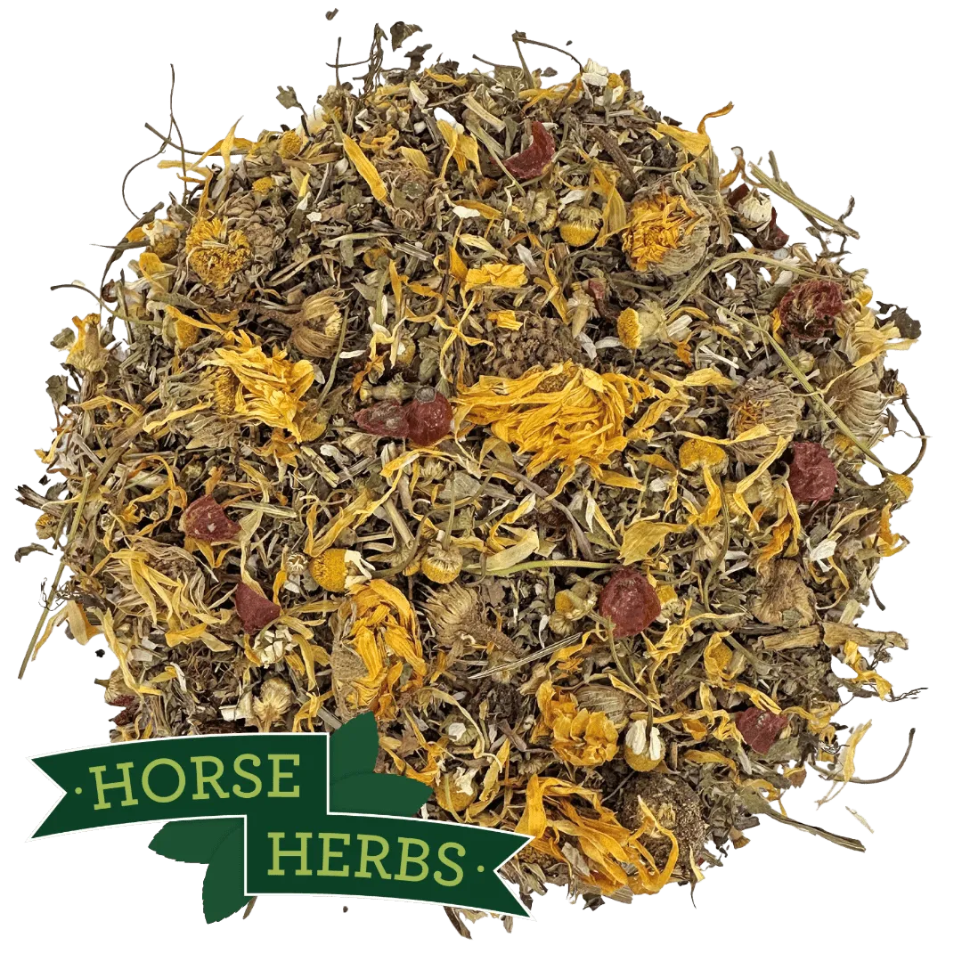 Daily Herbal Support