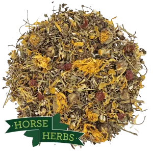 Daily Herbal Support