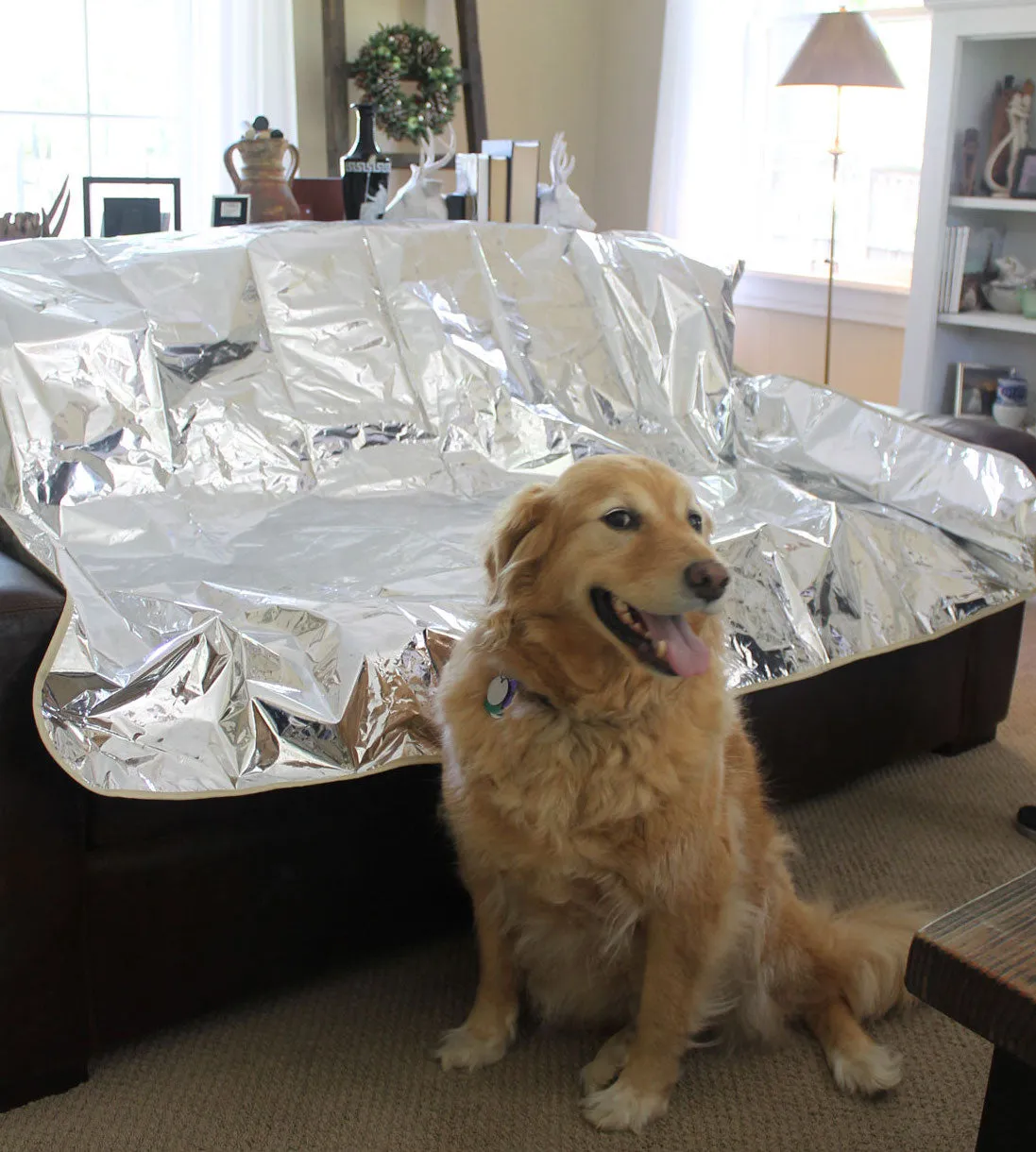 Enthusiast Gear Puppy Paws Pet Repellent Mat - Non Electric Cat & Dog Deterrent Mat - Keeps the Paws Off the Furniture!