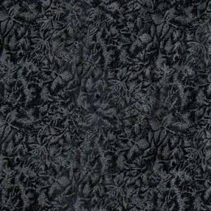 Fairy Frost Black