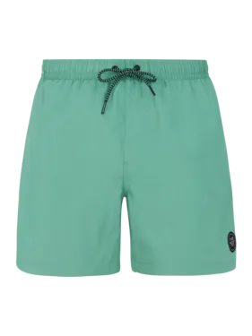 FASTER beachshort - Frosty Green