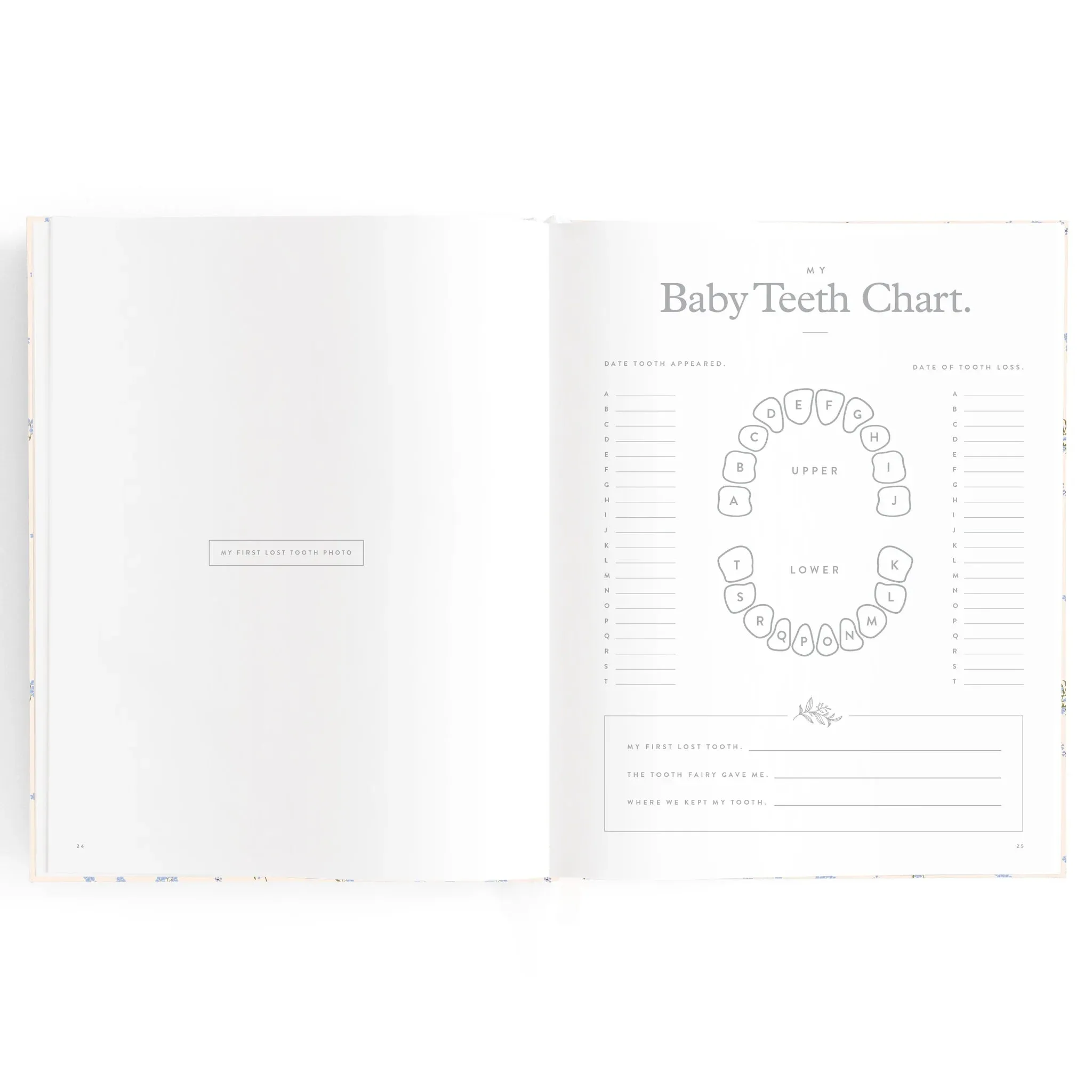 Fox & Fallow Baby Record Book - Forget-Me-Not