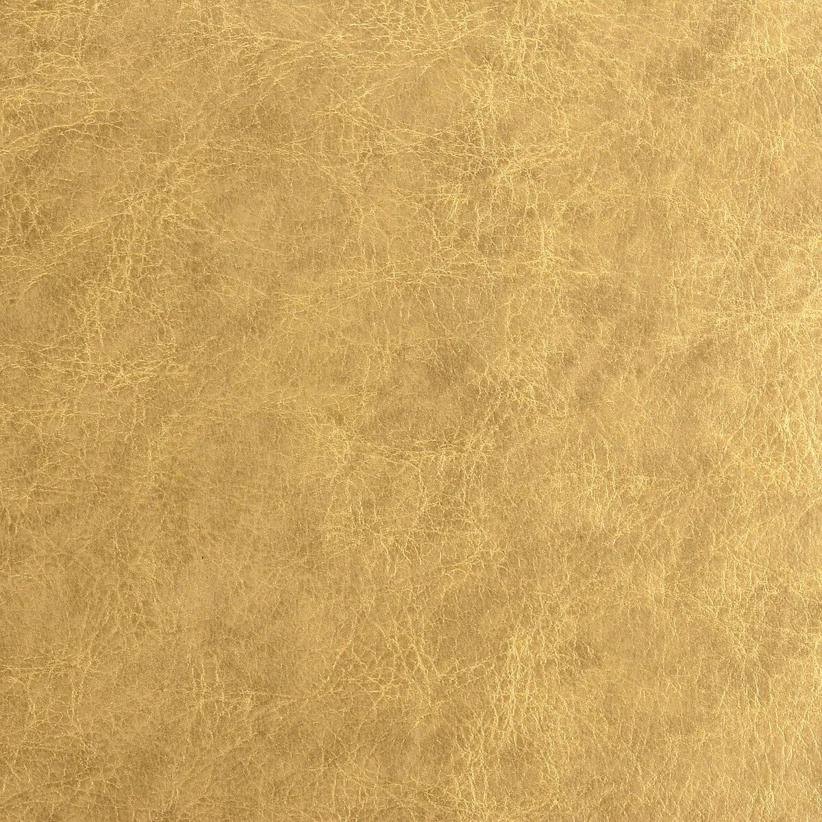 Gilded-24 Karat