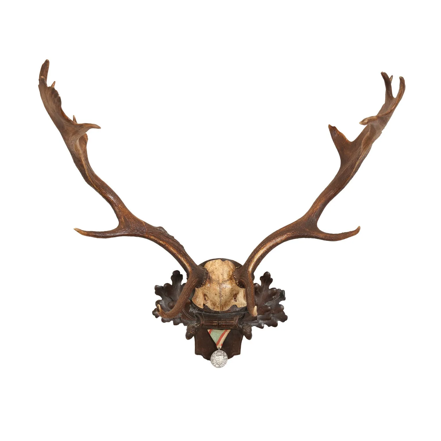 Habsburg Fallow Deer Trophy on Black Forest Plaque with Veteran's Medal