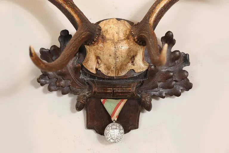 Habsburg Fallow Deer Trophy on Black Forest Plaque with Veteran's Medal