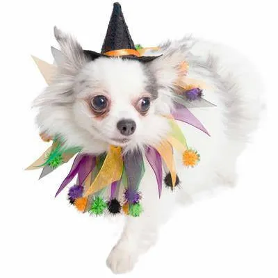 Halloween Hat & Collar Set For Dogs