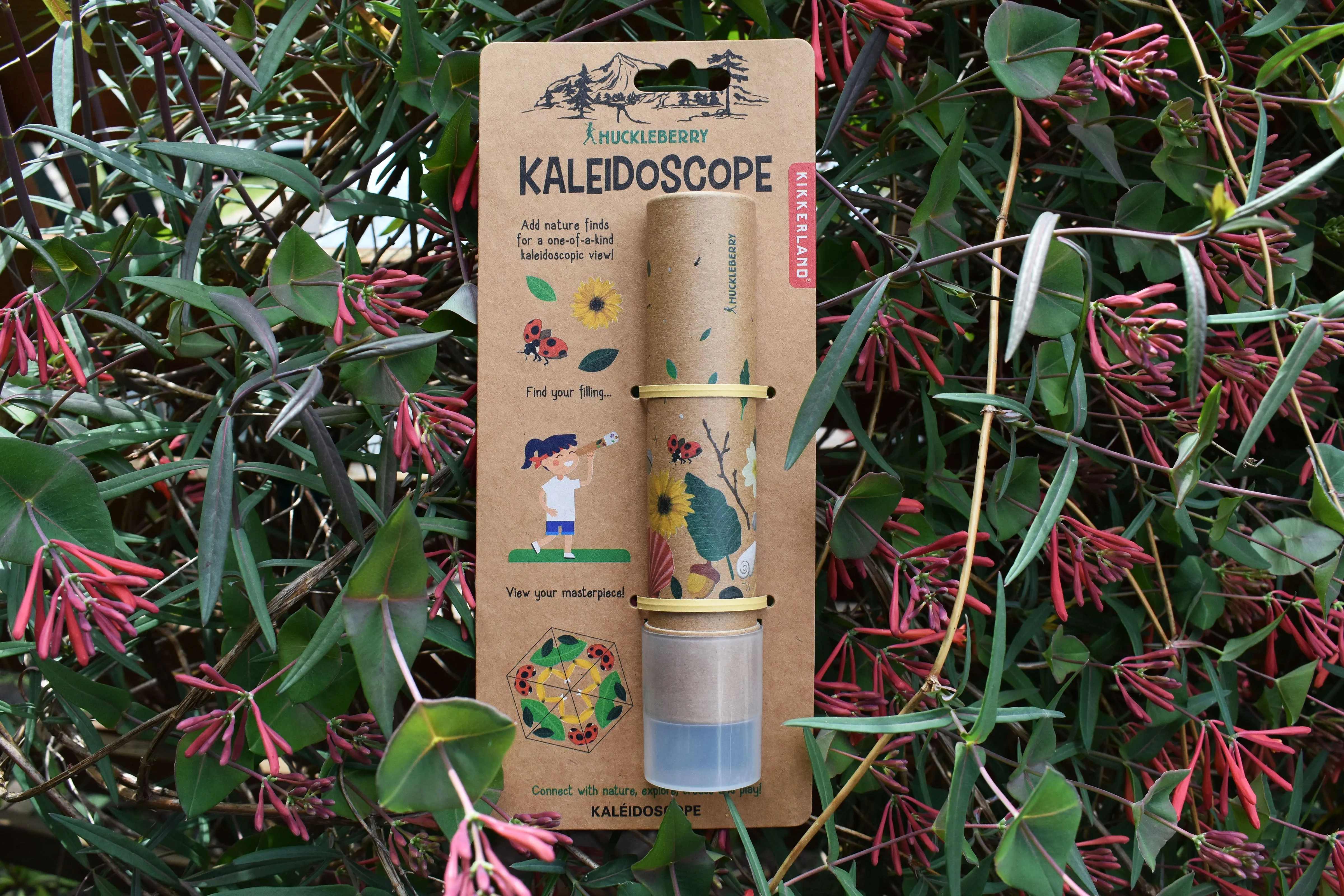 Huckleberry Kaleidoscope