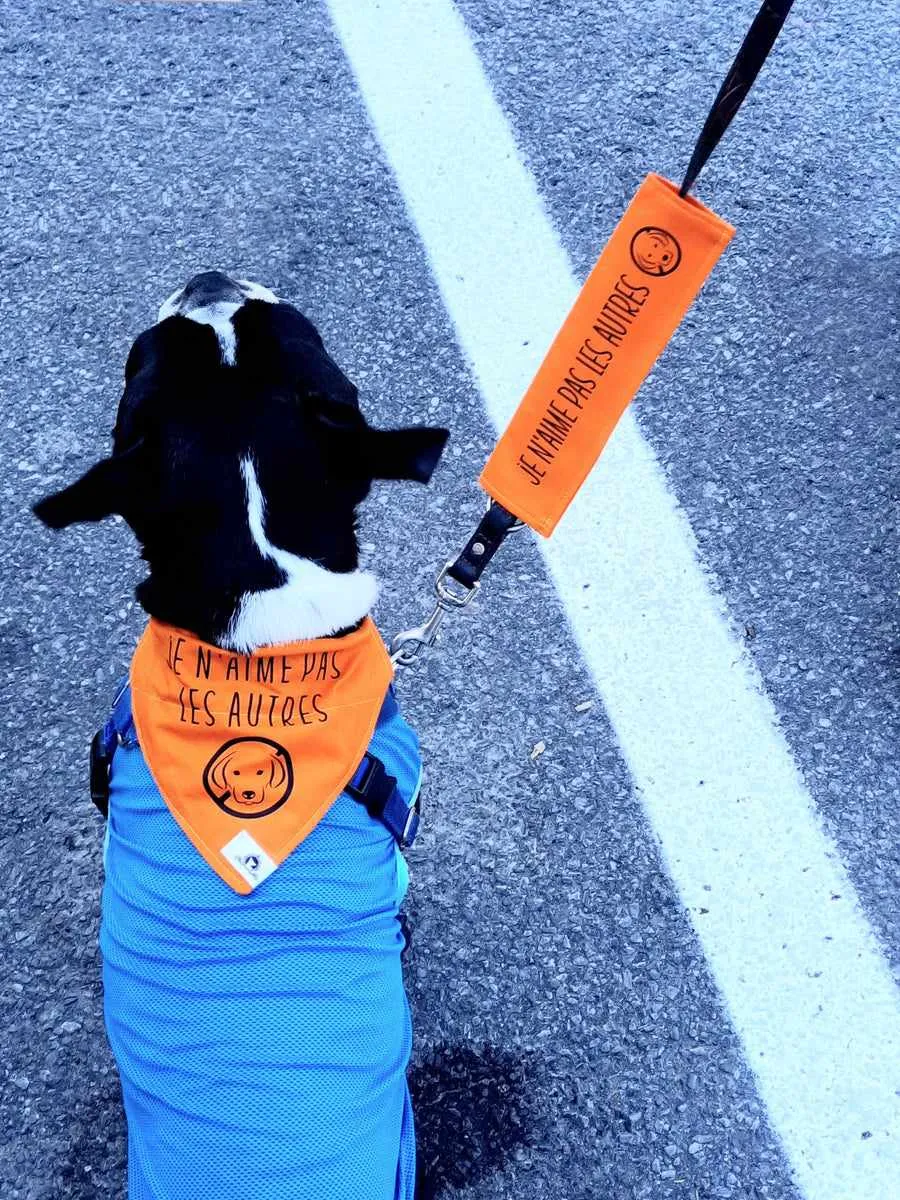 Leash sleeve - DOG AT WORK