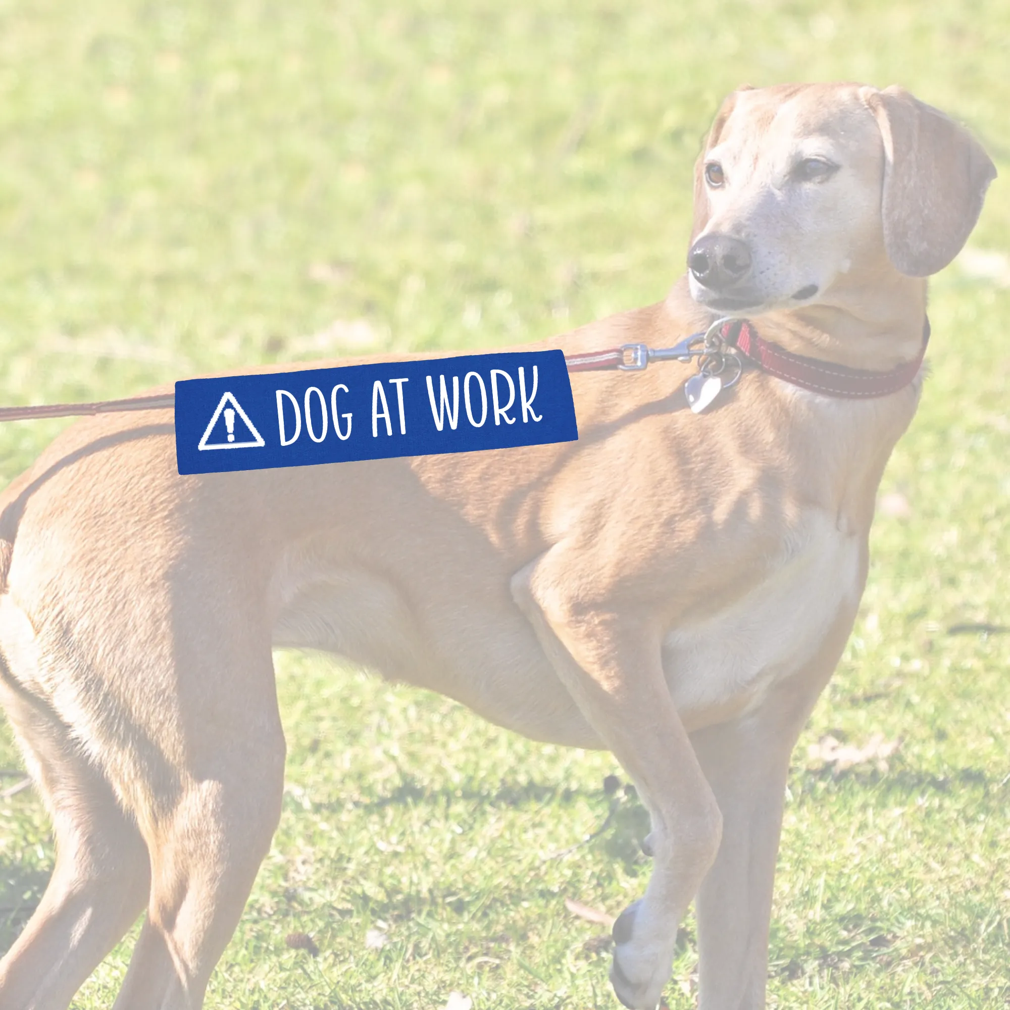 Leash sleeve - DOG AT WORK