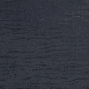 Lets Dance-Nero