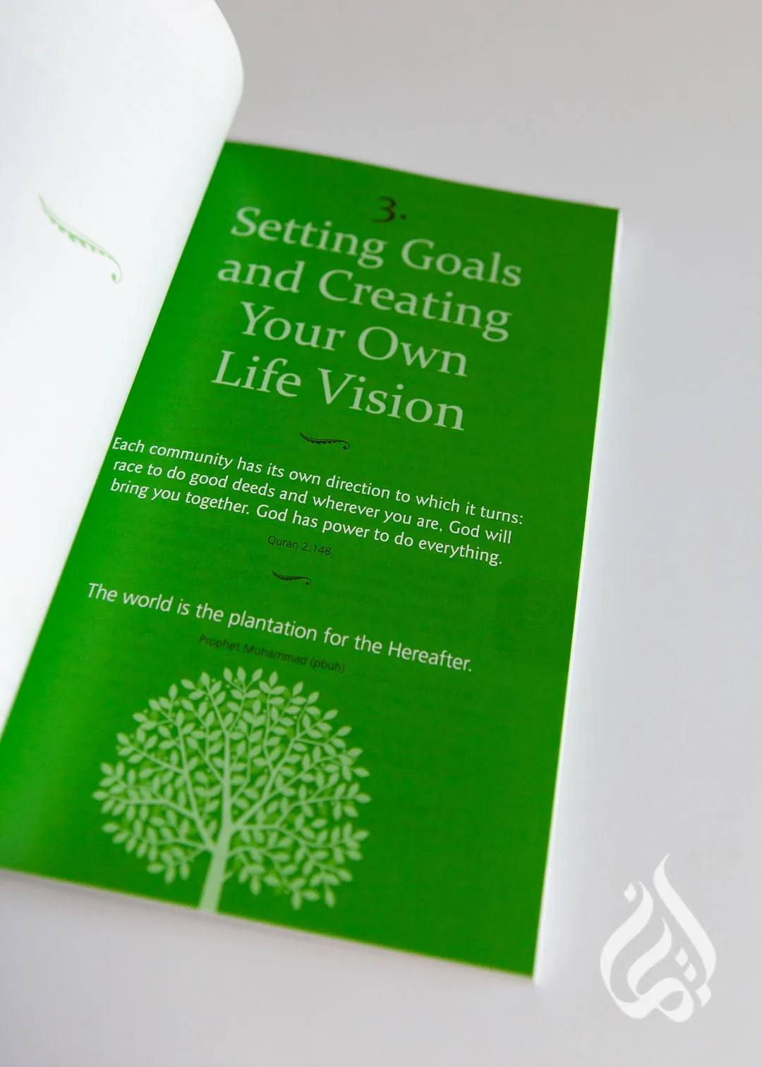 Life Coaching for Muslims - Discover the Best in You by Sayeda Habib