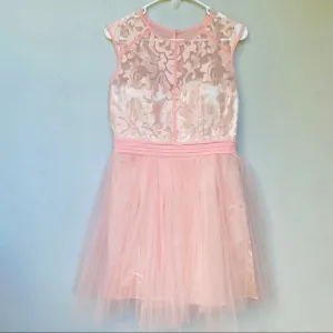 Little Mistress Pink Mesh &amp; Tulle Paisley Dress
