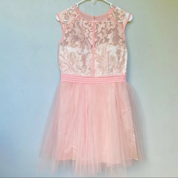 Little Mistress Pink Mesh &amp; Tulle Paisley Dress
