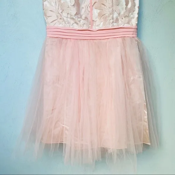 Little Mistress Pink Mesh &amp; Tulle Paisley Dress