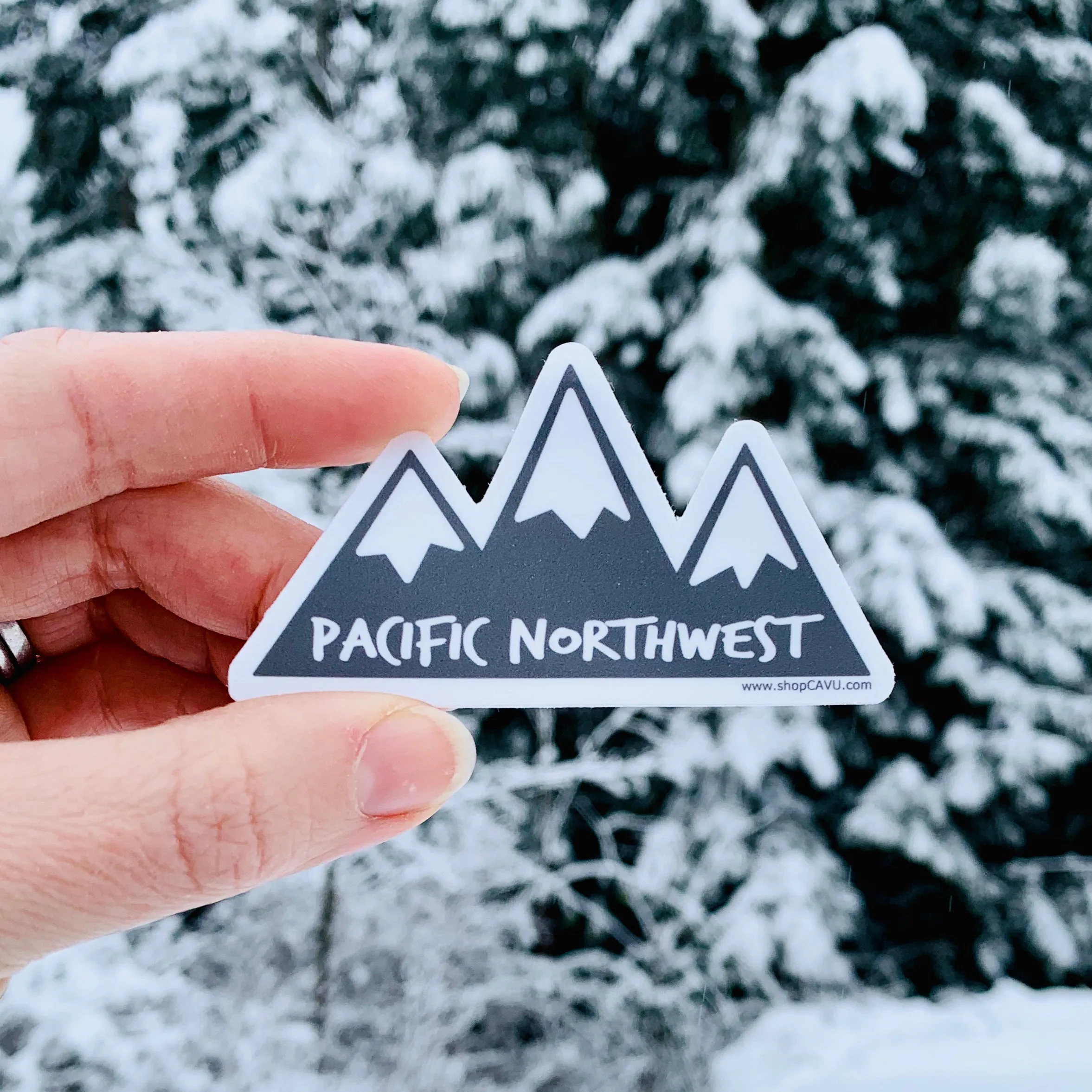 Mountains Pacific Northwest 3” Sticker / Decal