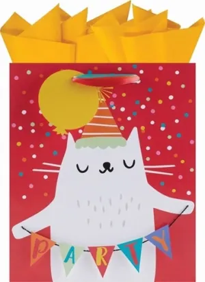 Drawstring Party Bags