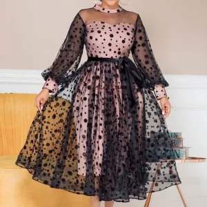 Polka Dot Print Sheer Mesh Dress