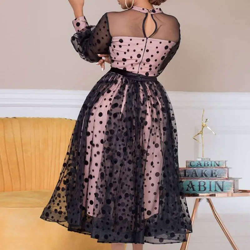 Polka Dot Print Sheer Mesh Dress