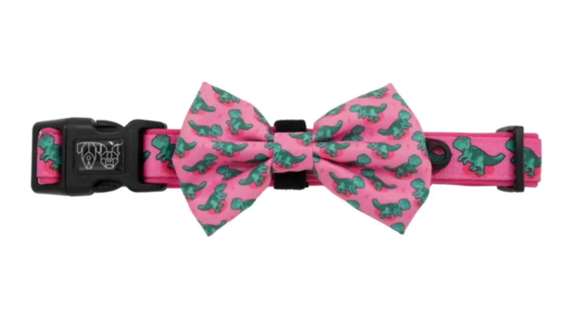“Princess-asaurus" Collar & Bowtie