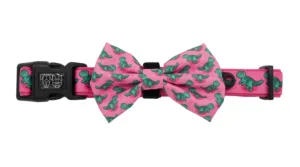 “Princess-asaurus" Collar & Bowtie