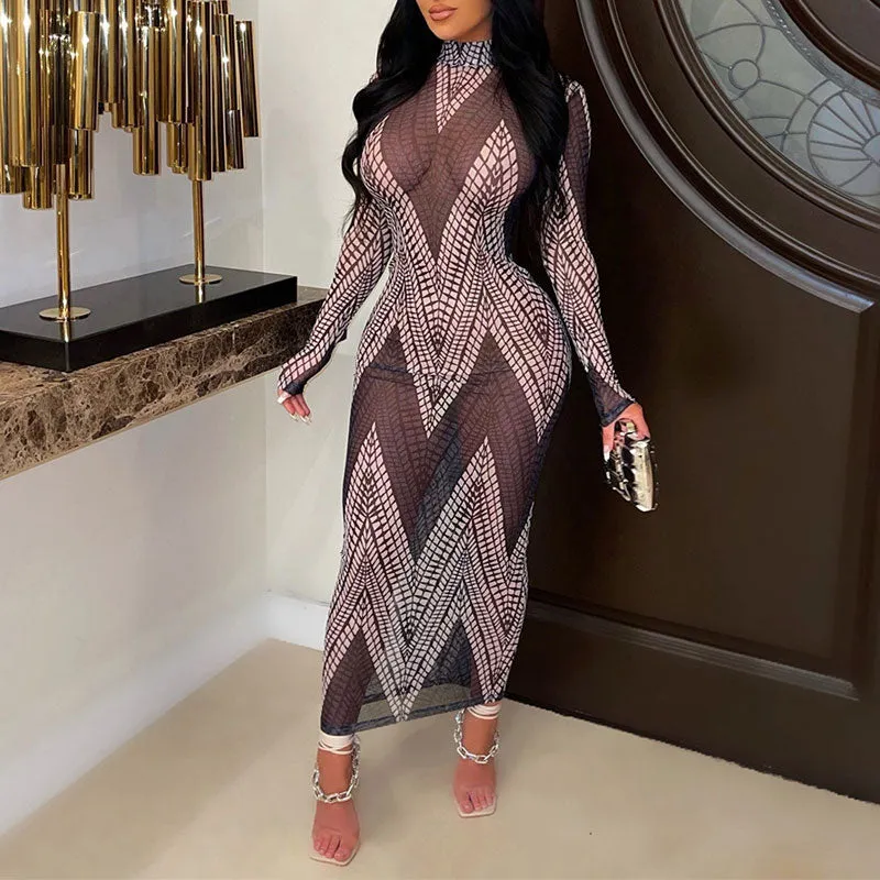 Print Long Sleeve Sheer Mesh Maxi Dress