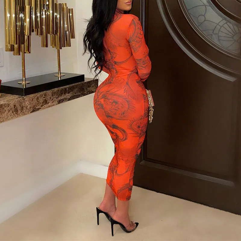 Print Long Sleeve Sheer Mesh Midi Dress