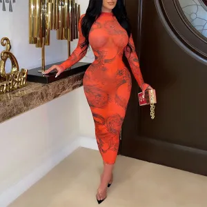 Print Long Sleeve Sheer Mesh Midi Dress