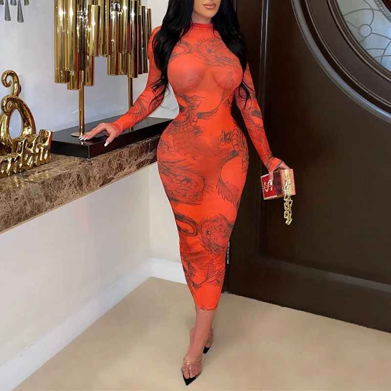 Print Long Sleeve Sheer Mesh Midi Dress