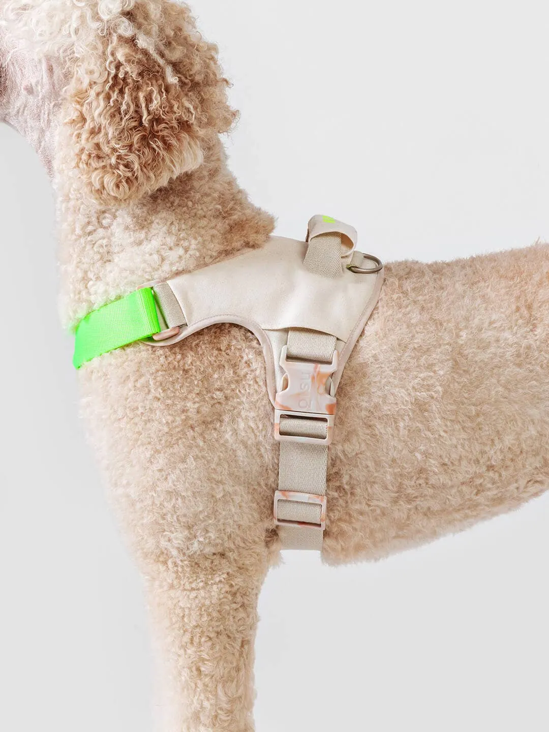 Qisu - Dog Harness | Hug Harness: / Navy