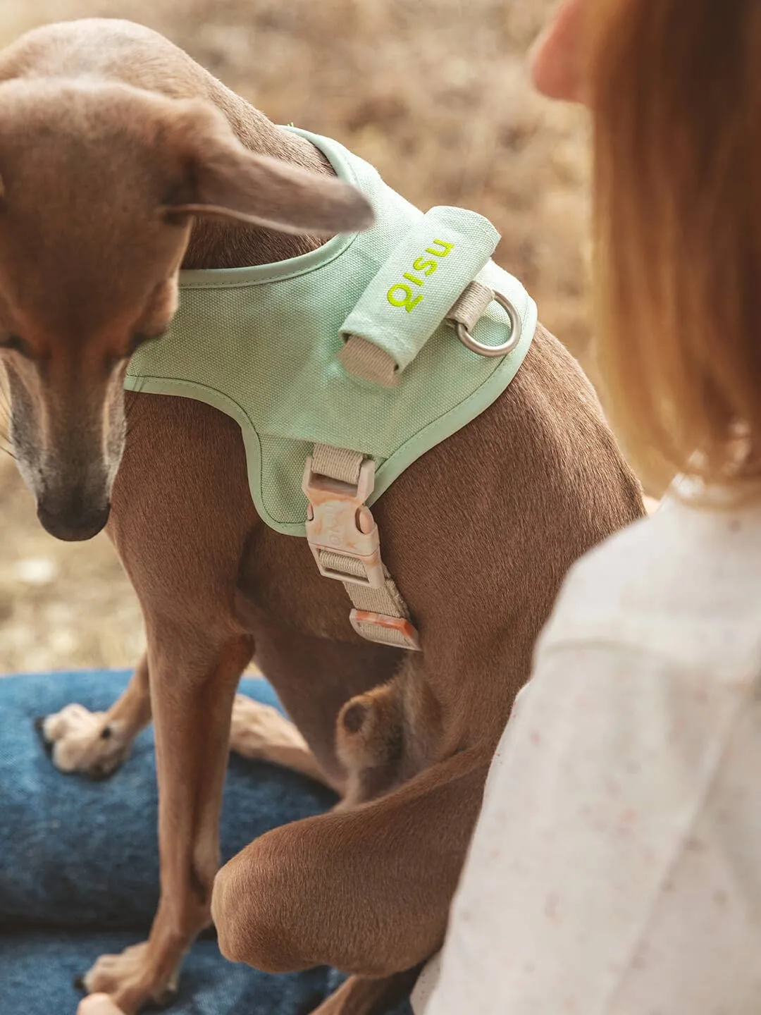 Qisu - Dog Harness | Hug Harness: / Navy