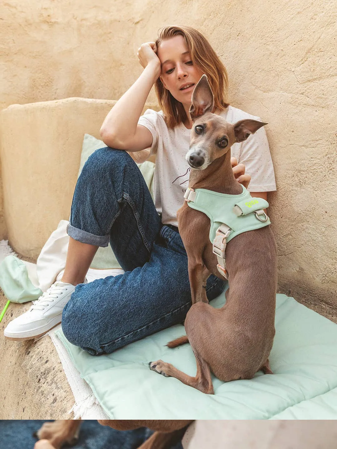 Qisu - Dog Harness | Hug Harness: / Navy